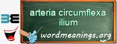 WordMeaning blackboard for arteria circumflexa ilium